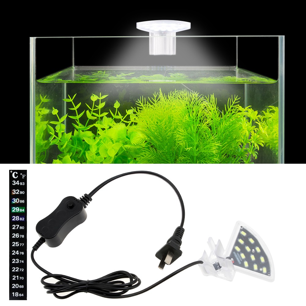 Download 620 Background Putih Aquarium HD Gratis
