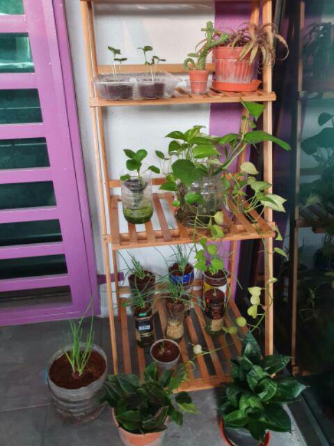 Foldable 4 Tier Bamboo Wood Flower Pot Display Plant Rack 