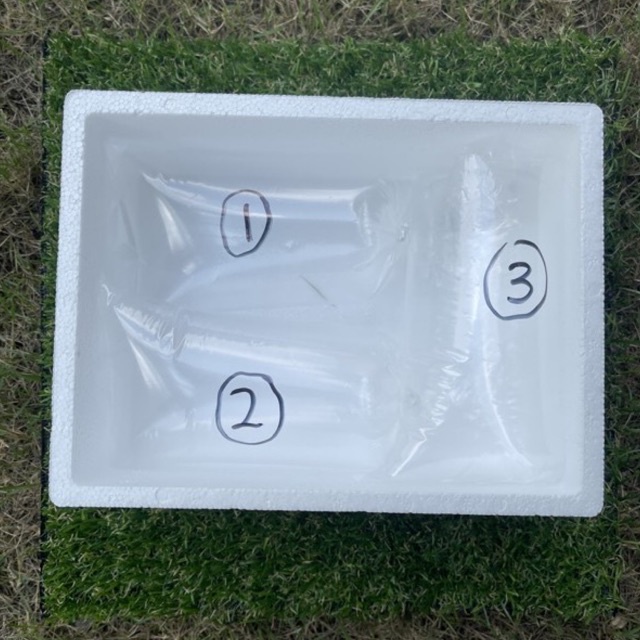 Buy Fb801 Polystyrene Foam Box Polyfoam Box Fish Box Ice Box Insulation Box Courier Box Cooler Box Storage Box Seetracker Malaysia
