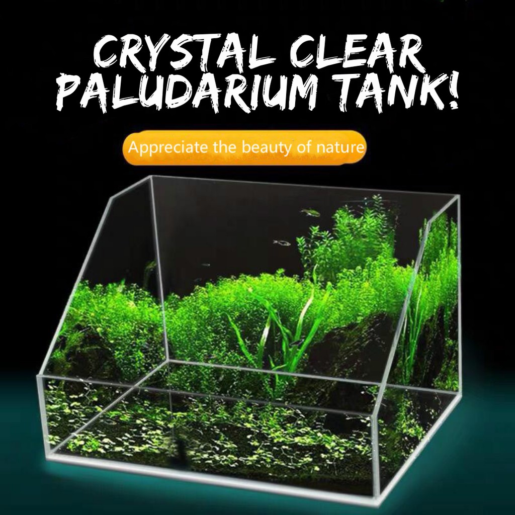 88 Koleksi Design Aquarium Besar Gratis Terbaru