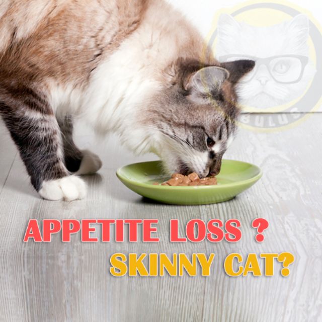 Appetite Loss Hilang Selera Makan Kucing 20ml Shopee Malaysia