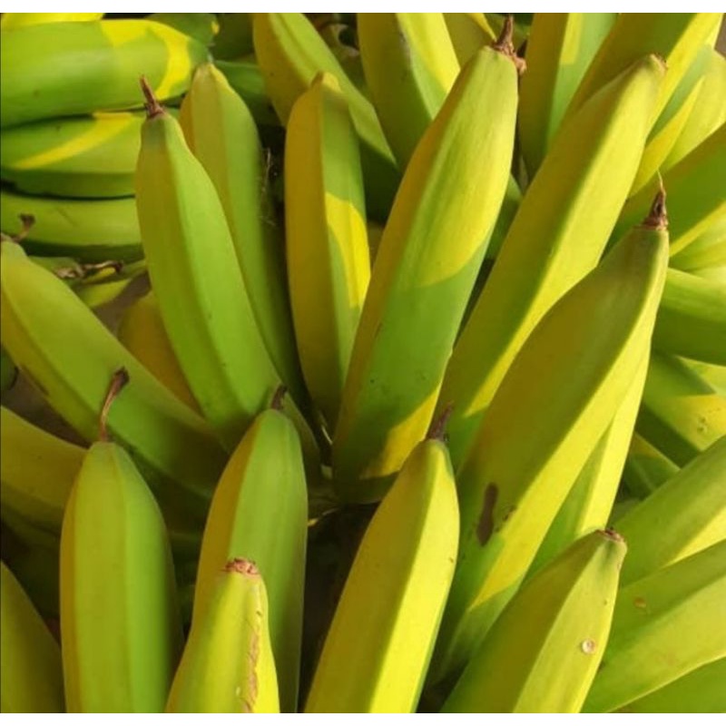 pisang nagka 3kg Rm15