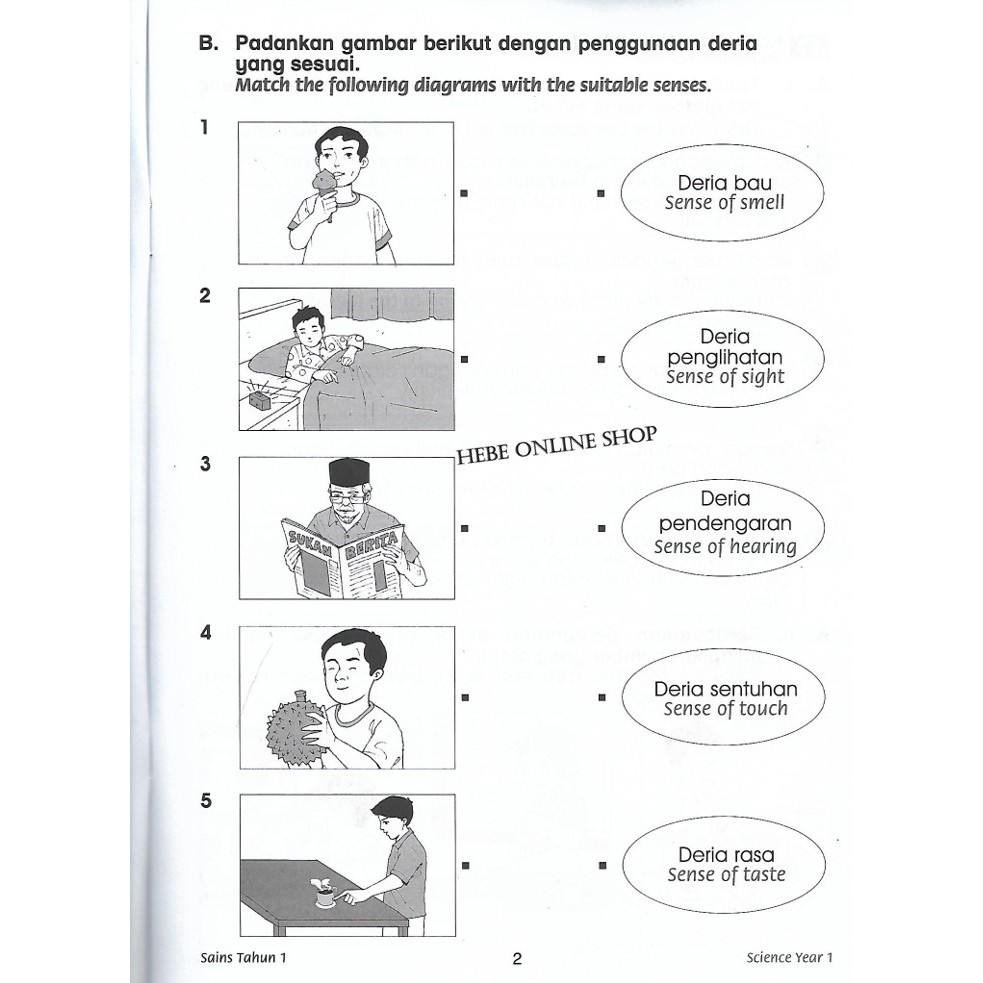 Contoh Alat Sukan Untuk Soalan Darjah 1 - JaggersrFry