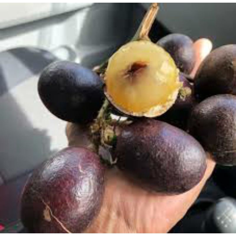 BUAH LONGAN BRAZIL - BUAH KRISTAL - LONGAN SARAWAK  Shopee Malaysia