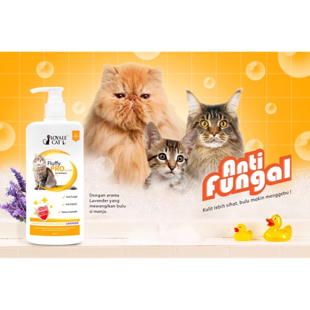 (READY STOCK) SYAMPU KUCING FLUFFY PROTECTION CAT SHAMPOO