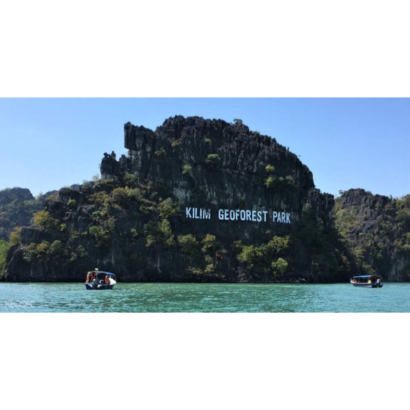 mangrove tours Langkawi with groups sharing 9am everyday