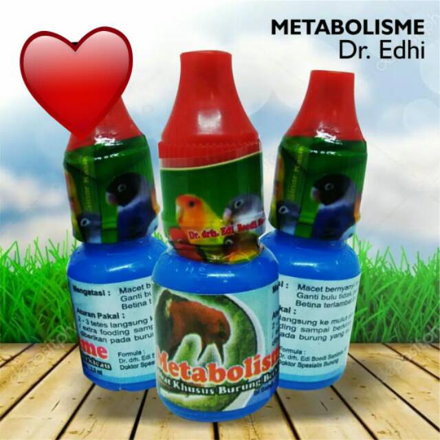 Metabolism Sound Macet Bird Dr.edhi METABOLISME OBAT BURUNG MACET