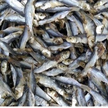500g Ikan Kering Tambang Kecil