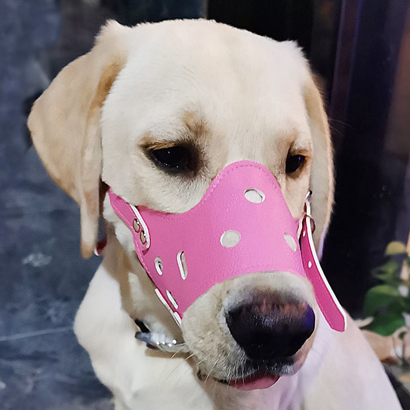 dog mouth mask