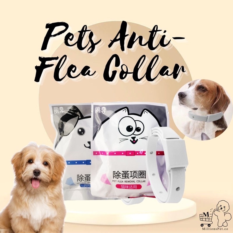 】 Pet Flea Repellent Collar / Anti Flea Collar ( Cat & Dog )  Colar Kucing Anti Kutu | Shopee Malaysia