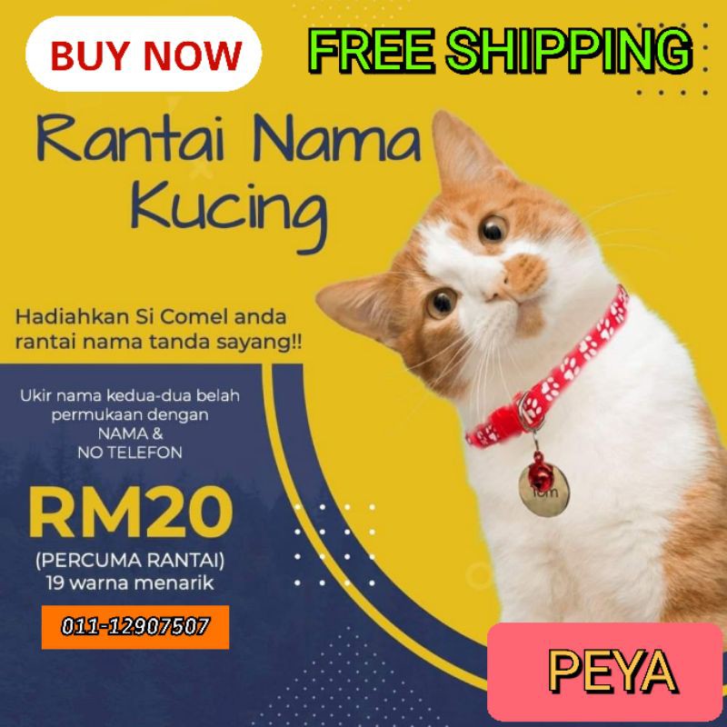 Rantai Nama Kucing Collar Cat Shopee Malaysia