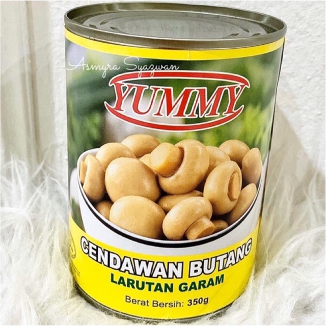 Cendawan Butang Dalam Tin Canned Button Mushroom Shopee Malaysia