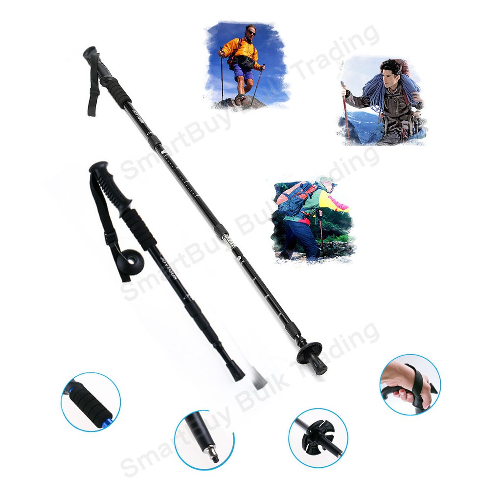 shock absorbing hiking pole