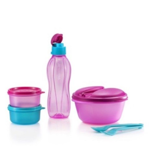 Tupperware Safe2go Set (no bag)