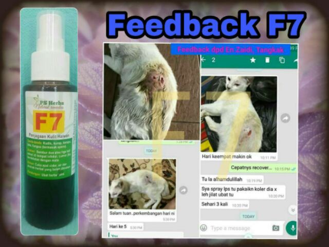 PS HERBS (HQ) Spray F7 Ubat kurap, kudis, fungus kucing anjing 