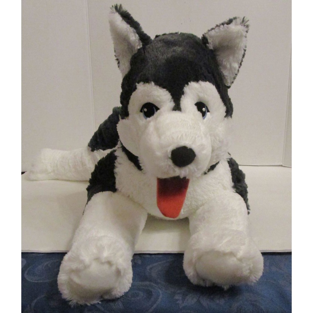 large husky teddy