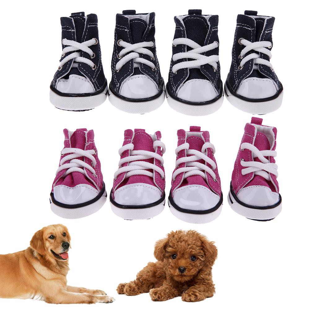 dog shoes shopee