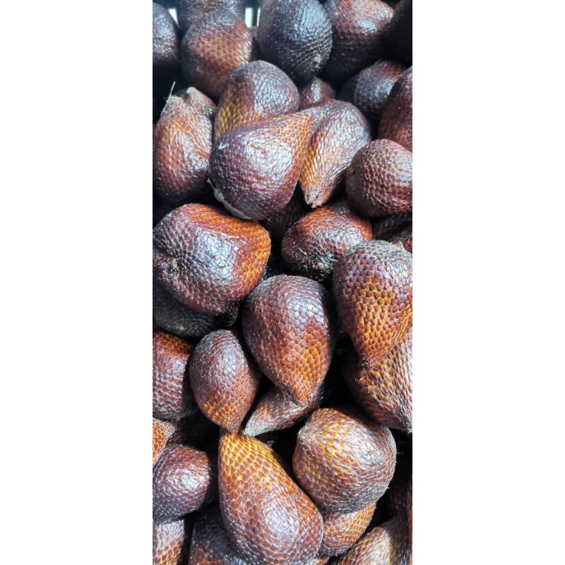 Buy Buah Salak Madu Indonesia Seetracker Malaysia