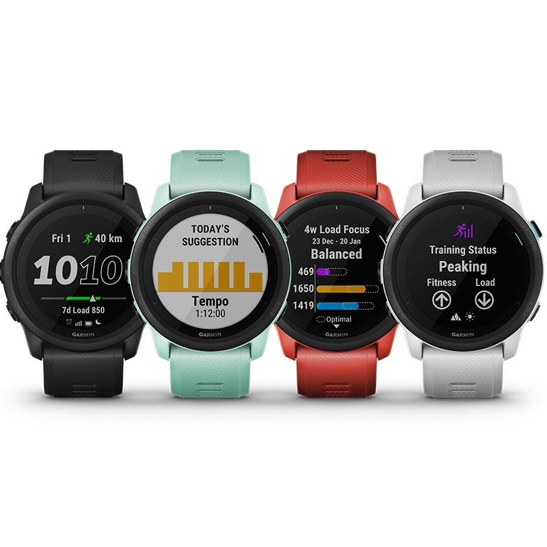 smartwatch fitbit versa 3