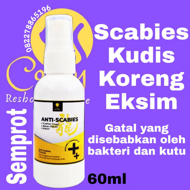 Medicine For Cat Rabbit SCABIES Demodex Impetigo Fungus Parasite Fungus