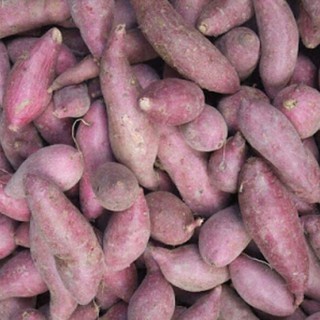 (Halal) Cameron Honey Sweet Potato Fresh Ubi Keledek Madu Ungu Oren Yam ...
