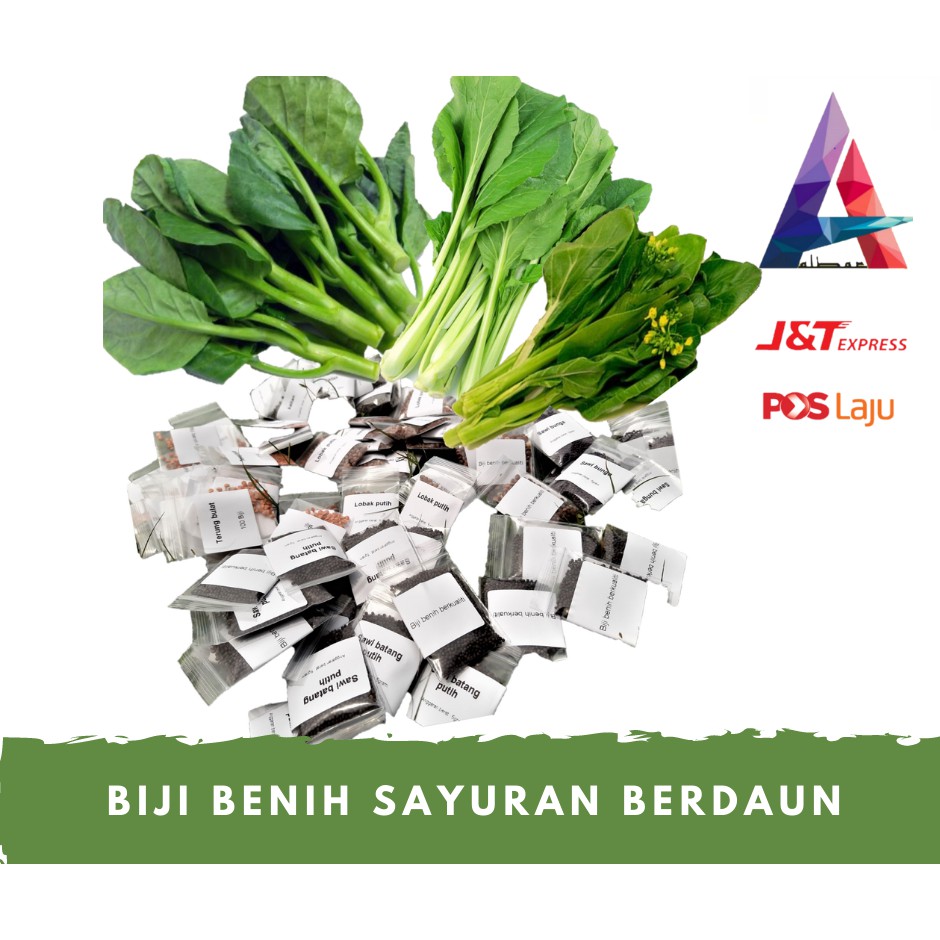 biji benih sayuran berdaun sawi bunga sawi putih kailan 