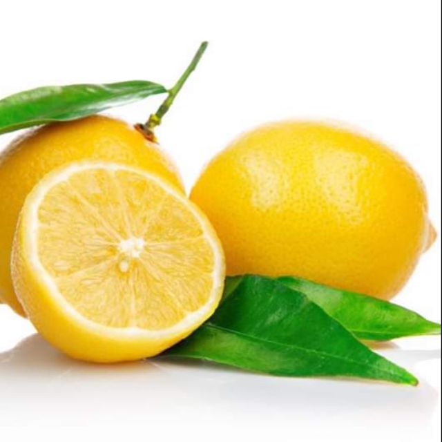 Anak pokok tut lemon Aussie/Australia/seedless lemon Australia | Shopee ...