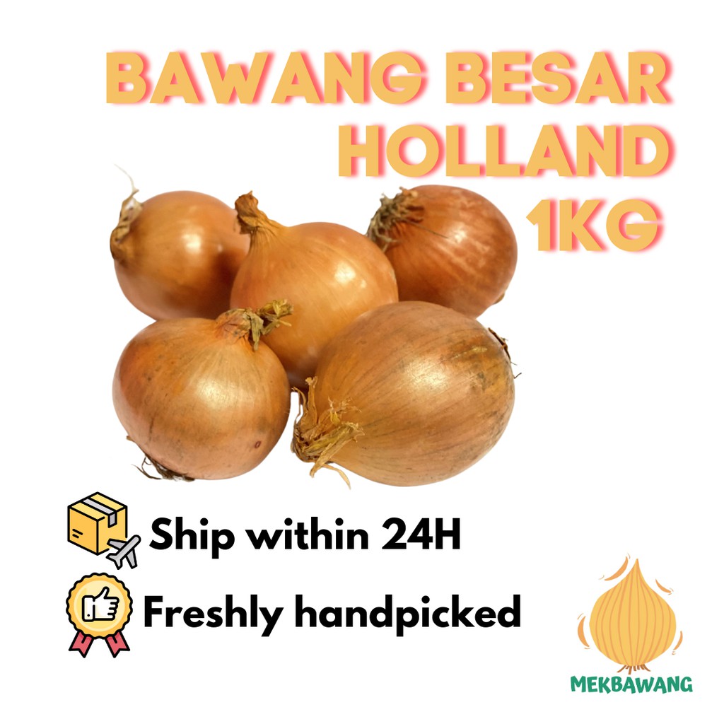 Bawang Besar Holland Onion 1kg Shopee Malaysia