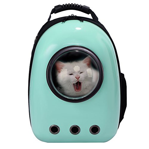 cat astronaut backpack