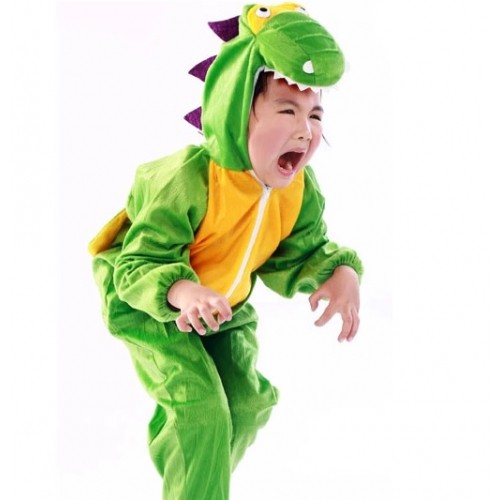 Crocodile Kids Animal Costume Shopee Malaysia