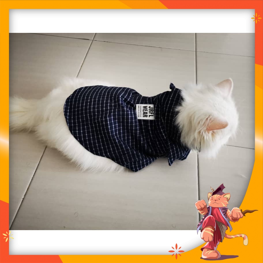 Baju Kucing Boy Gemuk Murah Ready Stock Malaysia 2022 Pakaian Haiwan ...