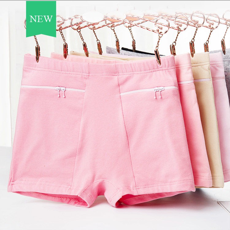Women S Underwear Female Briefs Girls Panties Zipper Panties Women S Belt Pocket Cotton Waist Anti Theft Double Autumn Shopee Malaysia