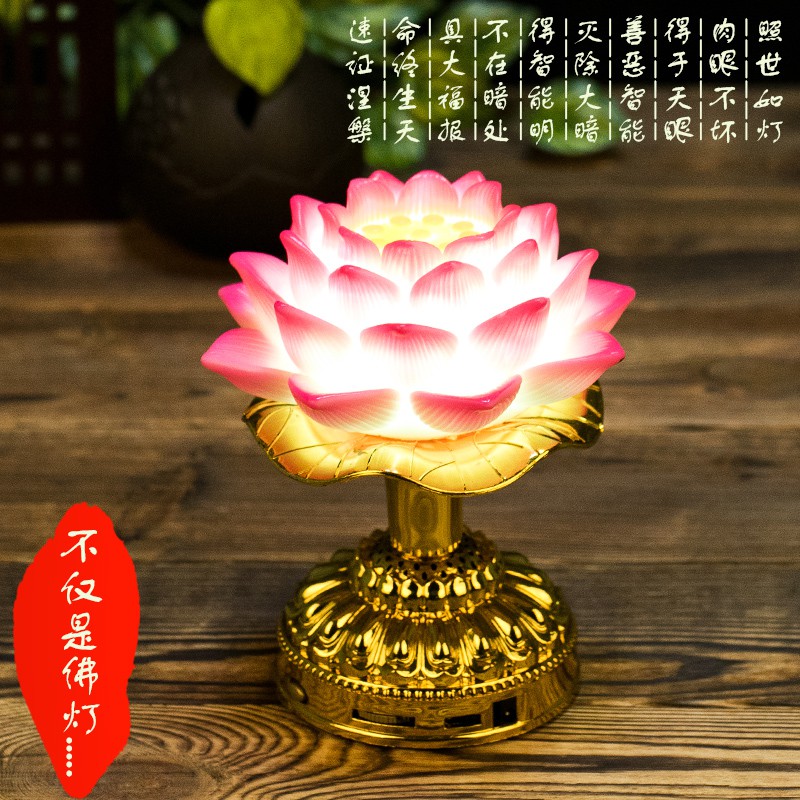 buddha lotus light