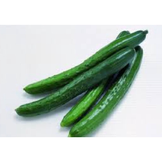 10 seeds of Japanese Cucumber Timun Jepun 日本黄瓜 Imported from Japan ...