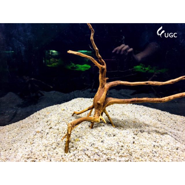 Tree Roots S Size Aquascape Aquatic Wood Root Vivarium Paludarium