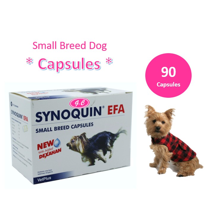 Vetplus Synoquin EFA Small Breed Dog (Under 10 KG) Joint Care 90