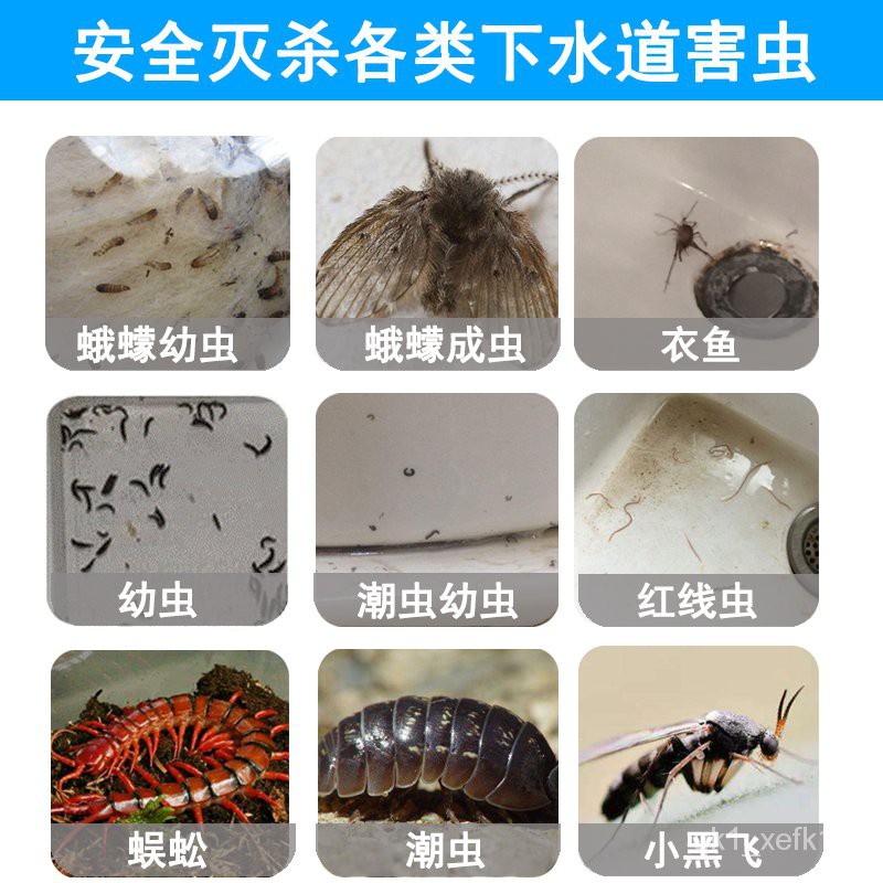 Insecticide 下水道杀虫剂家用厨房卫生间厕所除小飞虫蛾蠓驱蛾蚋小飞蛾灭蜈蚣