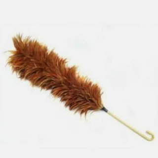 Duster Cleaner Pembersih Duster Bulu Ayam Penyapu Debu Ready Stock Shopee Malaysia