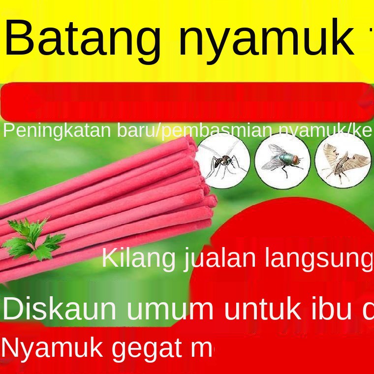 Gelung nyamuk  kayu  cacing penternakan kayu  nyamuk 