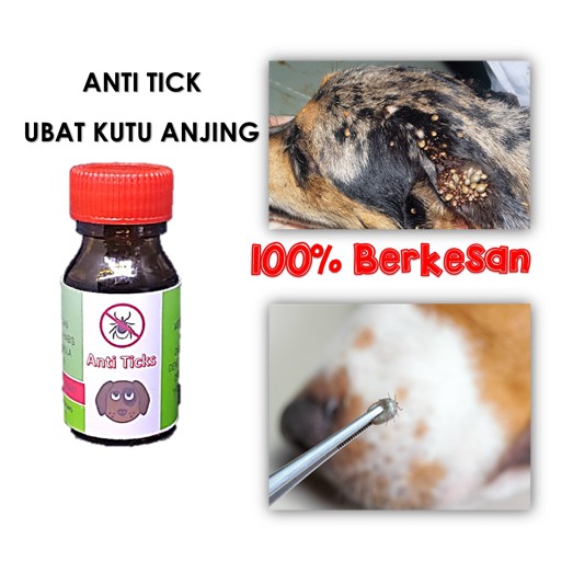 UBAT KUTU ANJING 100% BERKESAN  Shopee Malaysia