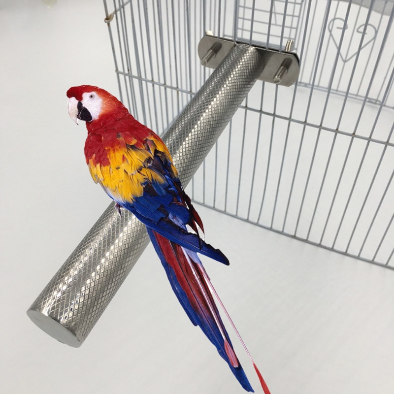 Essential Multi SYD Parrot Perch Stainless Steel Rod Stand Rhombic Pattern Pet Birds - Image 4