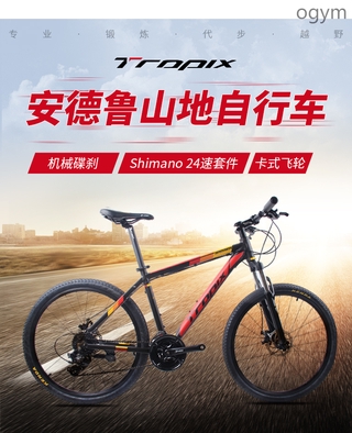 shimano 24 speed