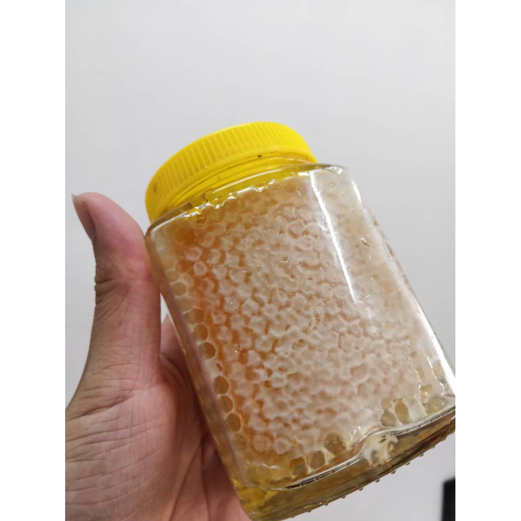 Honeycomb Madu Sarang Lebah 350gram Original Natural Organic Readystock