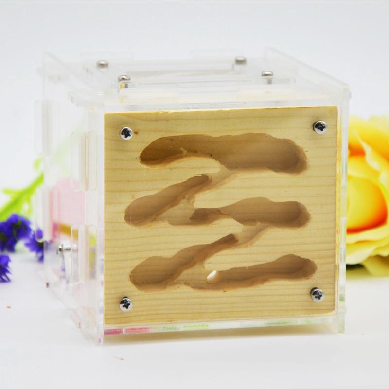 2019 New DIY Wooden Ant Farm Ecological Acrylic Ant Nest15x14x10cm with