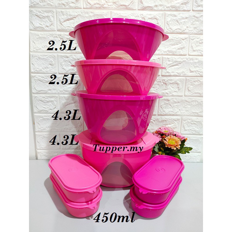 *4.3L 2pcs*Tupperware Outdoor Dining Bowl + Ezy Oval Keeper Pink Set 8pcs/Oval keeper 450ml 4pcs Level