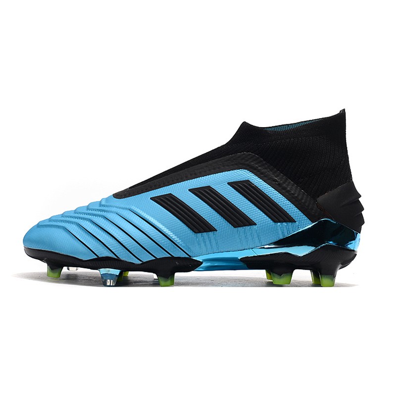 blue laceless predators