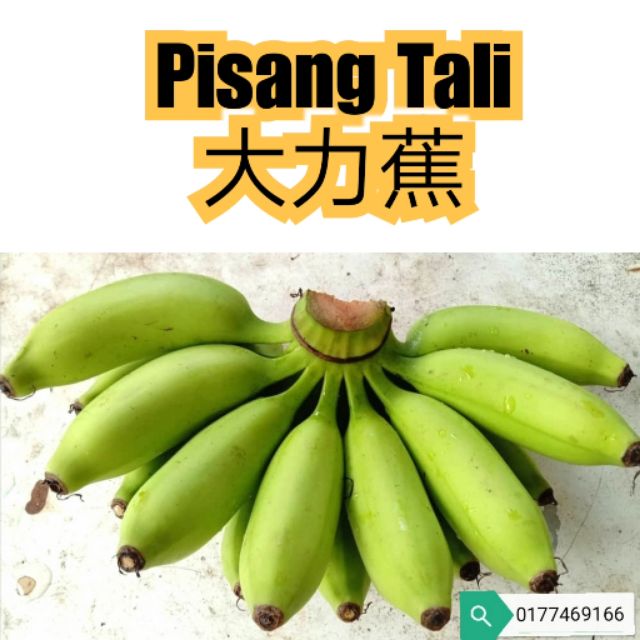 Ready Stock2kg Pisang Tali Rastali Banana Rastali Ready Stock2kg Pisang Tali Rastali Banana Rastali