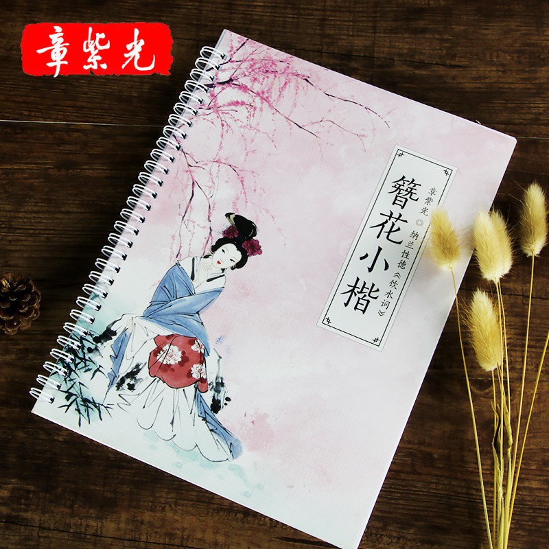 卫夫人簪花小楷临摹硬笔字帖女生字体漂亮书法成人钢笔练字帖速成纳兰诗词 Shopee Malaysia