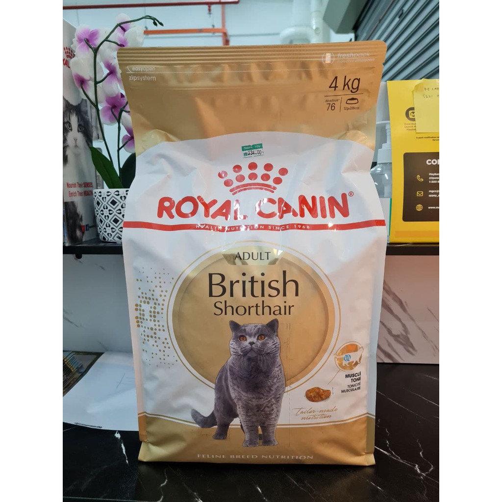 Buy [100% ORIGINAL] Royal Canin British Shorthair BSH Adult 4kg 