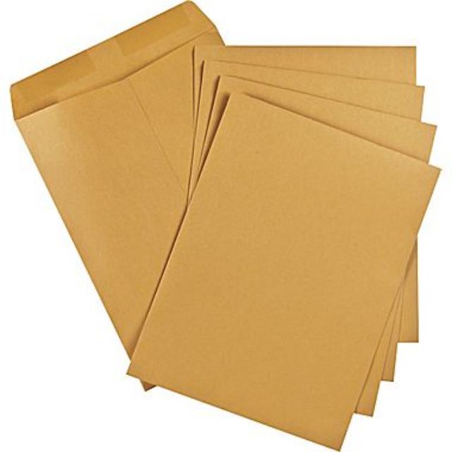 (50pcs) A4 Size 9 X 12.75 Business Envelopes Pack of Envelopes (Brown ...